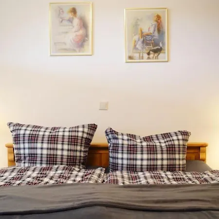 Am Oberen Schloss 公寓 锡根